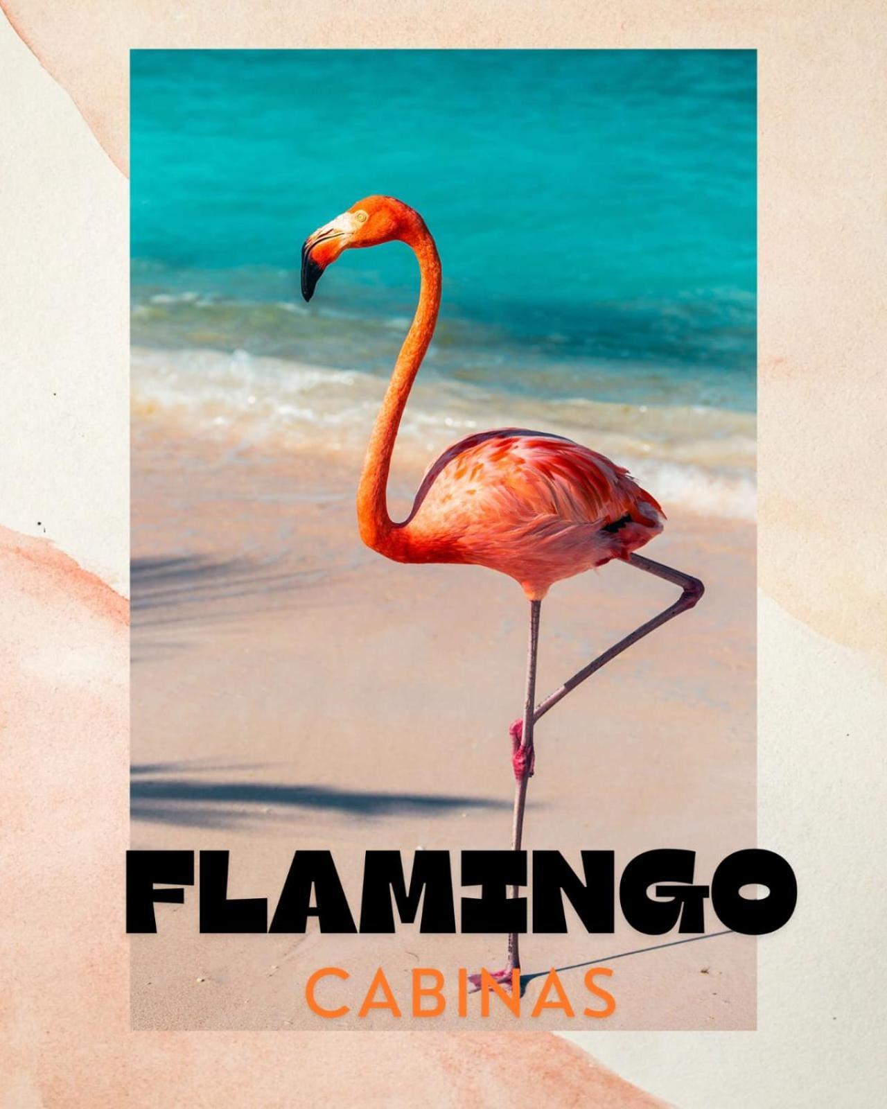Cabinas Flamingo プラヤ・フラミンゴ エクステリア 写真